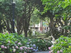 -常州古运河南大街文化旅游区-人民公园