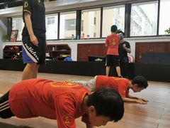 -温鉴良实用咏春拳