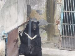 -攀枝花公园
