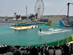 -秦皇岛乐岛海洋王国