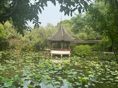 -上海醉白池公园