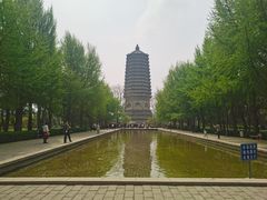 -玲珑塔公园