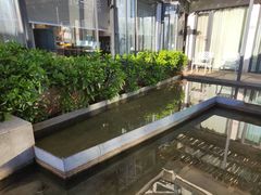 -大理老字号·舟渔的鱼野生菌海景餐厅(双廊店)