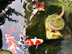 -贵阳高新惠诚食品有限公司