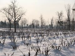 -南湖国家城市湿地公园