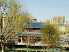 -雁滩公园
