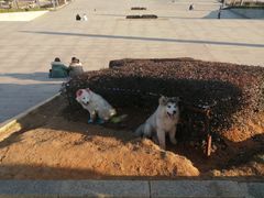 -中央革命根据地历史博物馆