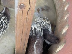 -雪浪山卡丁车俱乐部