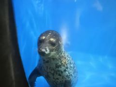 -常州海昌海洋探索馆