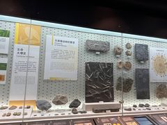 -浙江自然博物院(杭州馆)