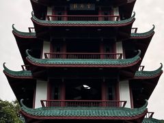 -桂湖森林公园