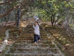 -风云岭森林公园