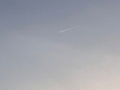 -真茶屋·0奶精(街道口一店)