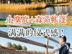 -安德鲁户外烧烤帐篷营地(马泉营店)