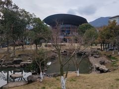 -宁波九龙湖开元度假村
