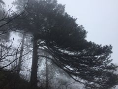 -黄山北海宾馆
