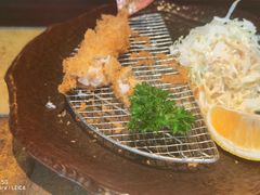 -山杏yama-katsu·吉列炸物