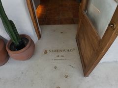 -Sirena海妖日咖夜酒