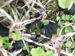 -白塘生态植物园