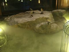 -足本纪·足道 SPA 简餐 小吃(文三西路店)