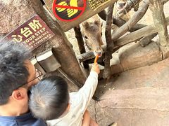 -长鹿旅游休博园