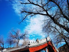 -潭柘寺景区