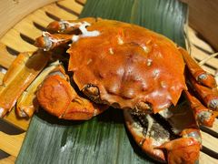 -蟹榭(静安寺晶品商场店)