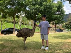 -长兴太湖图影湿地文化园