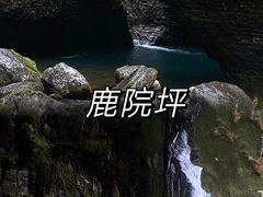 -鹿院坪生态旅游景区