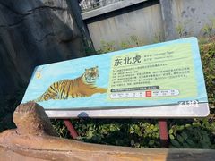 -武汉动物园