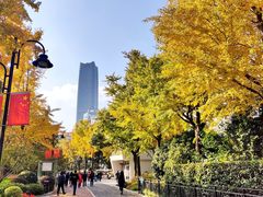 -北外滩滨江绿地