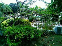 android_upload_pic-三亚亚龙湾凯莱仙人掌度假酒店