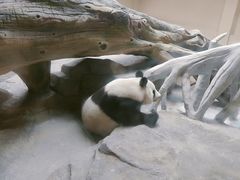 -宁波野生动物园