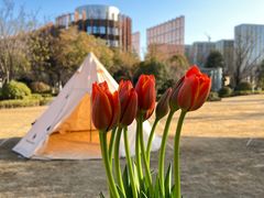 -西安浐灞艾美酒店·汉江餐厅·火锅