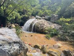 -南海湾森林生态园