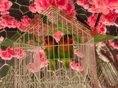 -蓝鲸湾汤泉(包河店)