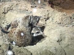 -正佳极地海洋世界