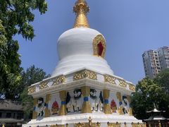 -护国法轮寺
