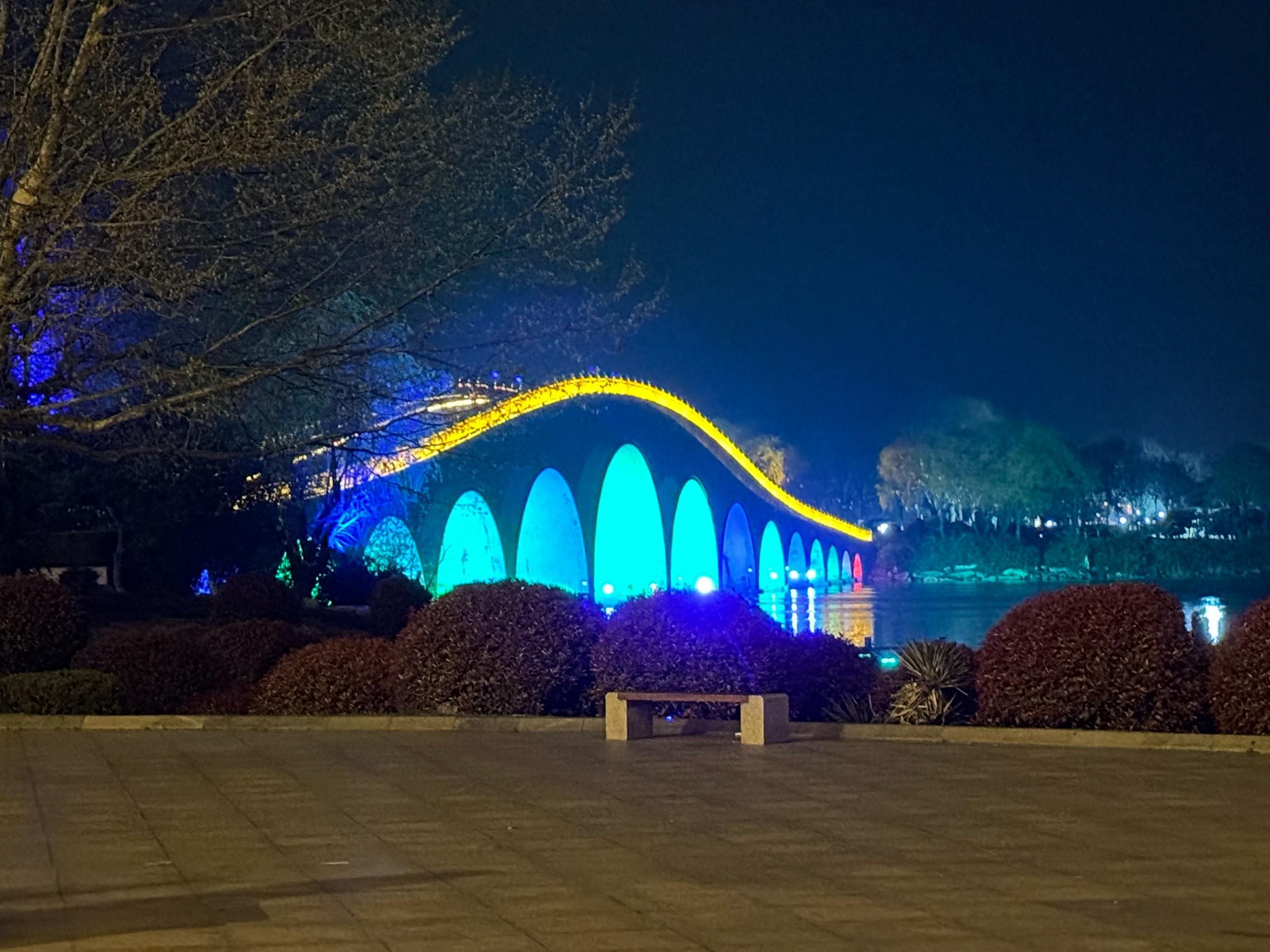 砀山东湖湾夜景图片