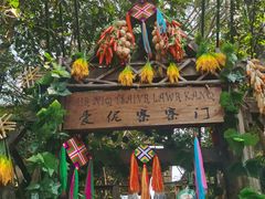 -西双版纳原始森林公园