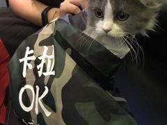 -INLOVE KTV(世博源店)