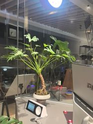 -菲·木田moontin造型salon