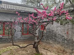 -元大都城垣遗址公园