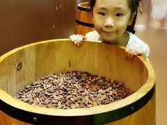 -歌斐颂巧克力小镇