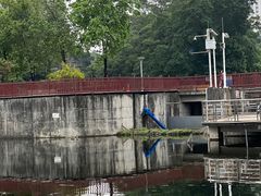 -荔湾湖公园