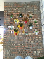 -明洞造型精品烫染