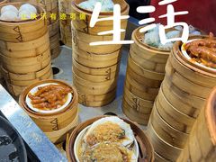 -宝塘茶楼
