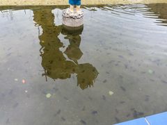-米果果小镇