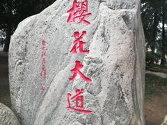 -武汉大学-樱园