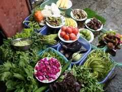 苍洱春饭店1-苍洱春饭店